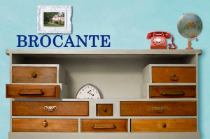 brocante AP jardin botanique