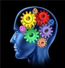 Analyse 2014 – 12 / 15. L’apport des neurosciences dans l’enseignement